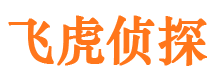 汤阴外遇出轨调查取证